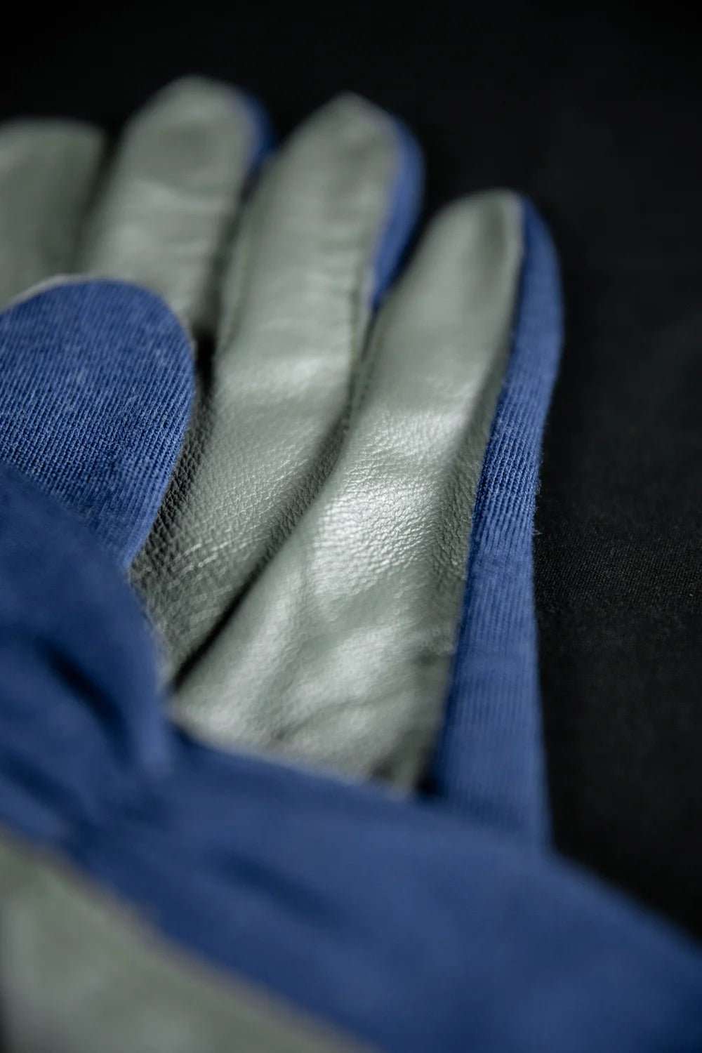 Flight Gloves