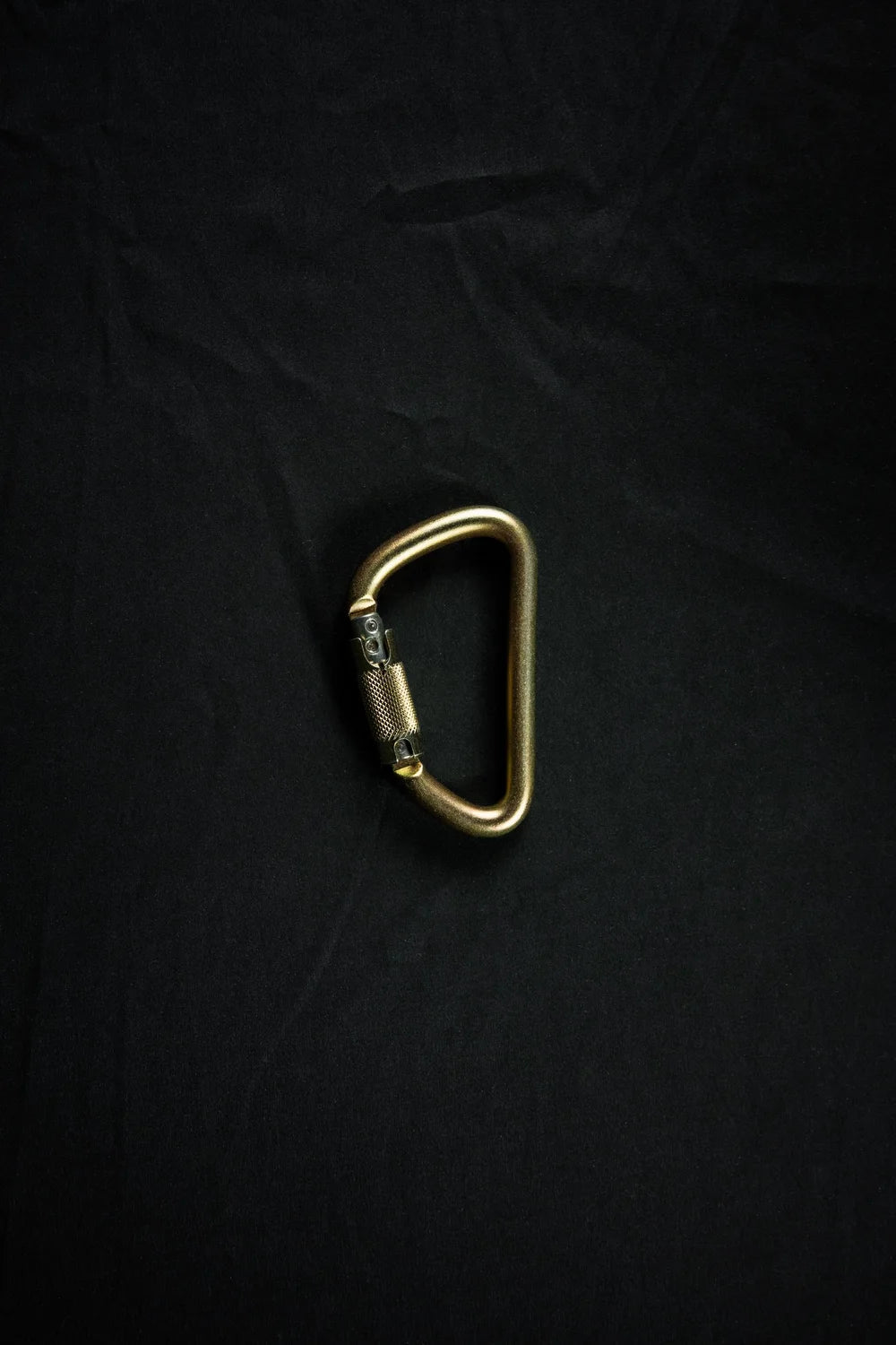 P1AR Steel Carabiner