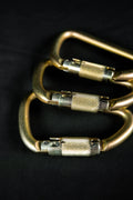 P1AR Steel Carabiner
