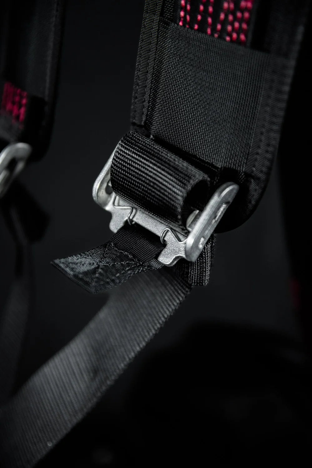 Chameleon Harness
