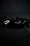 Princeton Tec Headlamp
