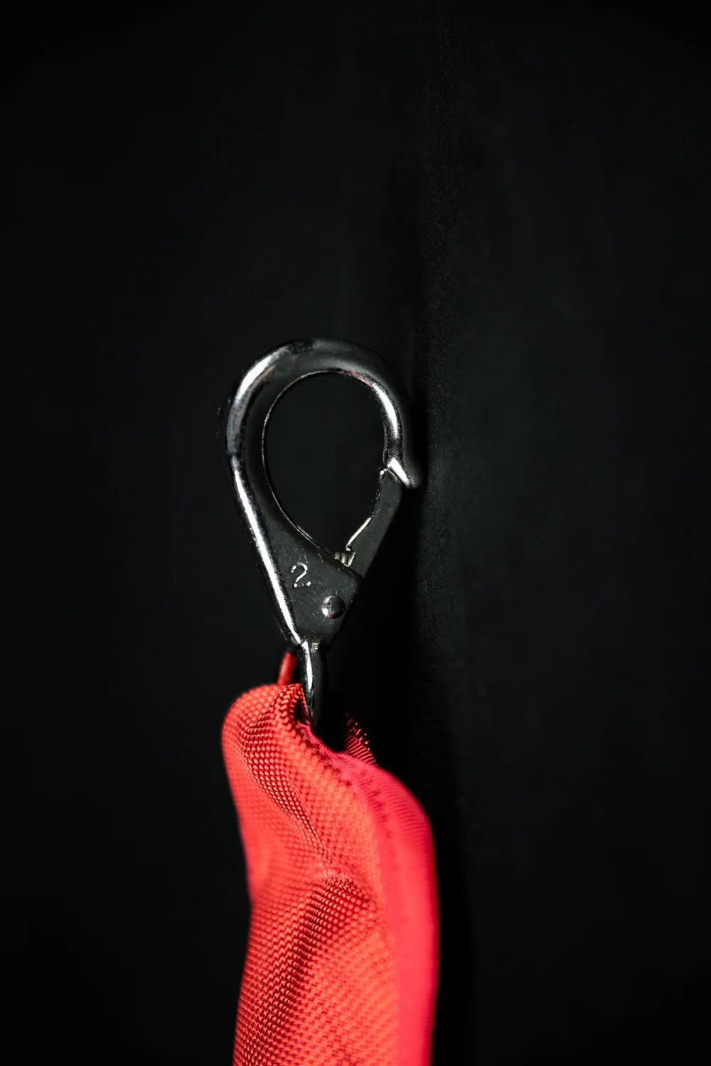 5 lb. Weight Bag