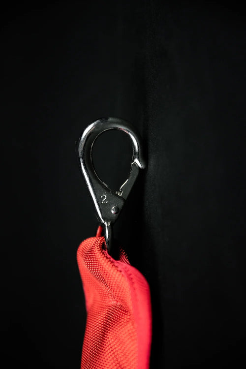 5 lb. Weight Bag